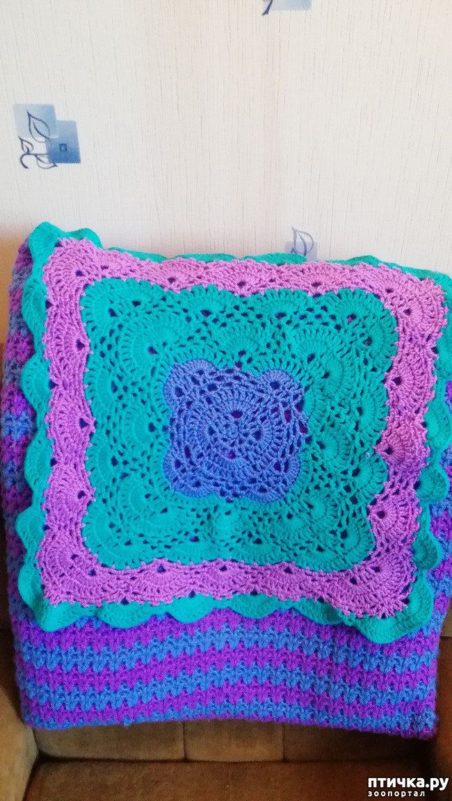 ���� 6: ���� ��������� ����� ��������.