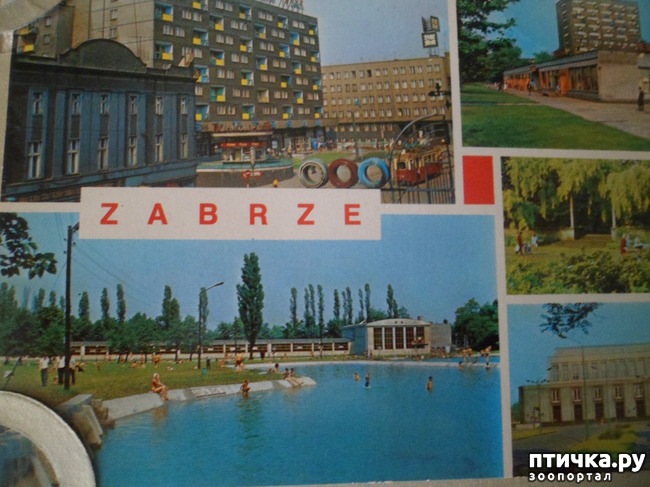 ���� 36: �� ��������� ������� �������...