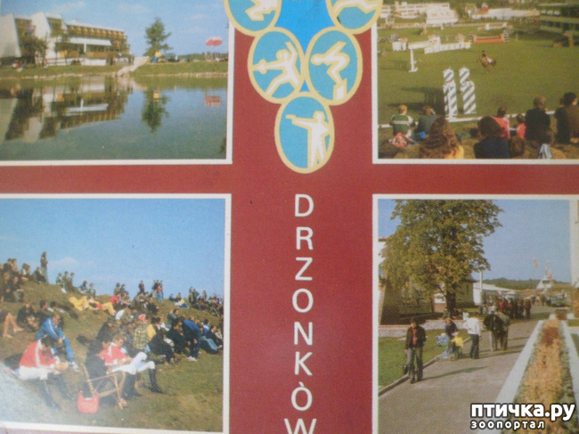 ���� 37: �� ��������� ������� �������...