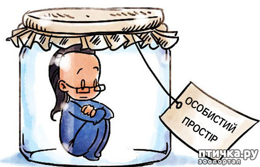 ���� 4: ������������