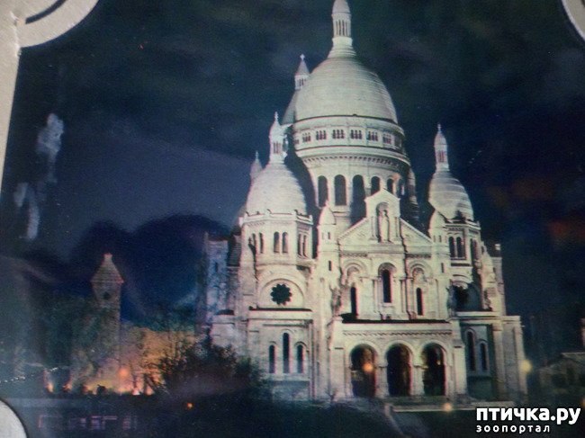 ���� 38: �� ��������� ������� �������...