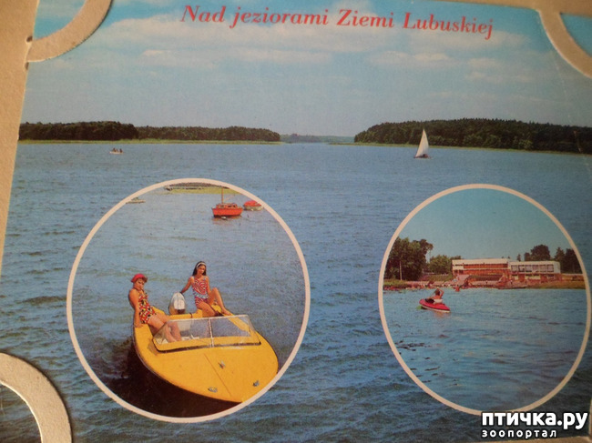 ���� 39: �� ��������� ������� �������...