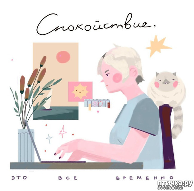 ���� 15: ������������