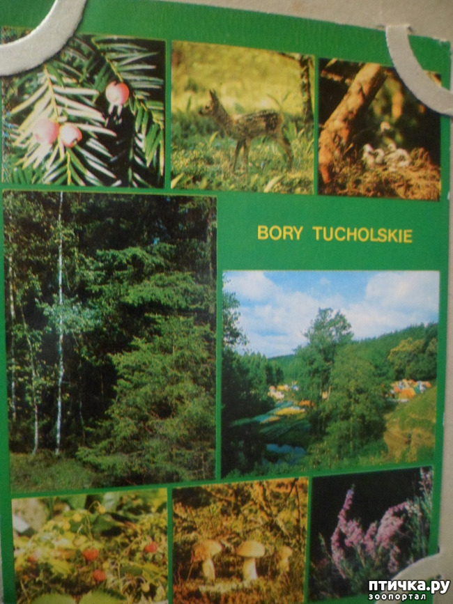 ���� 40: �� ��������� ������� �������...