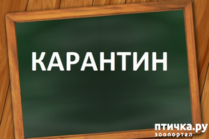 ����: �� �� ������!