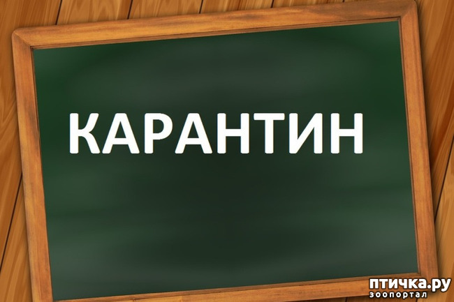 ���� 1: �� �� ������!