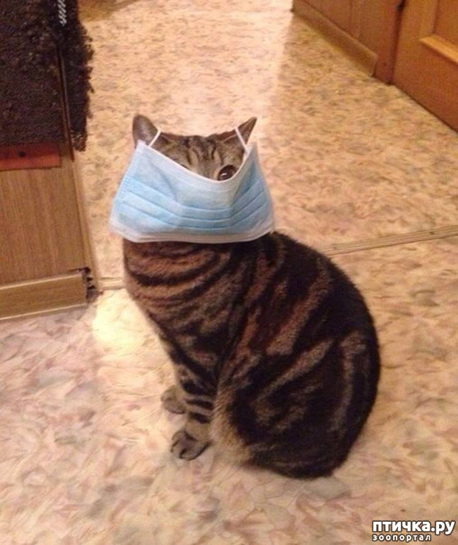 ���� 14: ������������