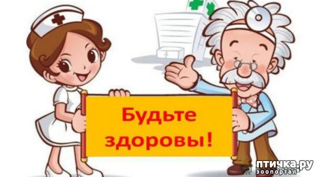 ���� 16: ������������