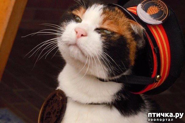 ���� 1: ����� ���� � �������������� ��������������� �������.