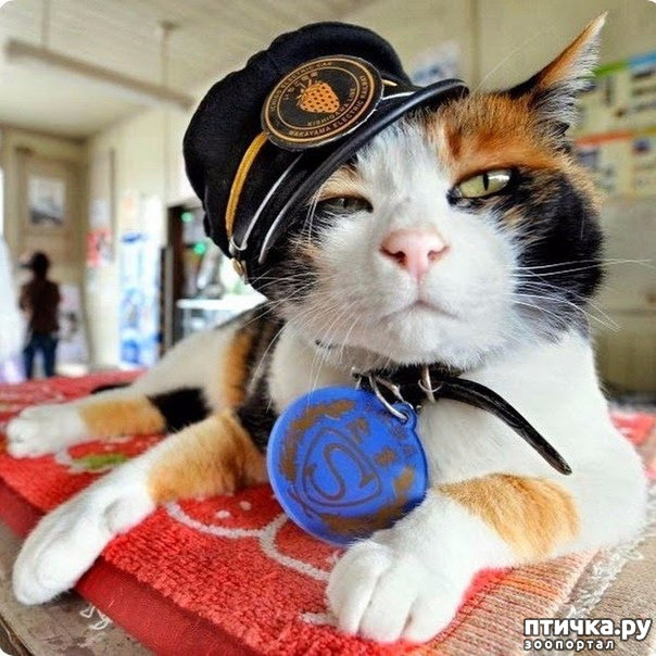 ���� 2: ����� ���� � �������������� ��������������� �������.