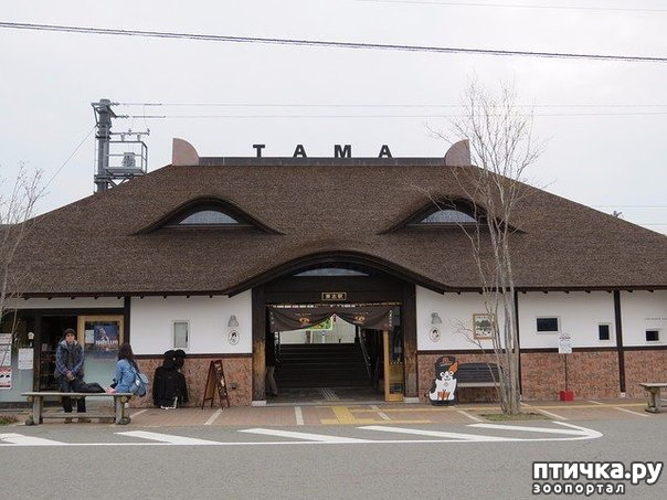 ���� 3: ����� ���� � �������������� ��������������� �������.