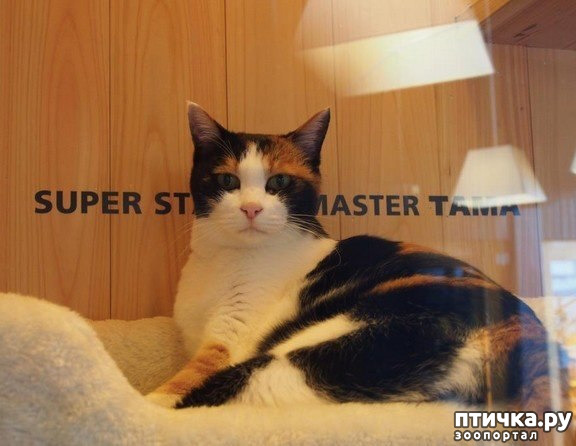 ���� 5: ����� ���� � �������������� ��������������� �������.