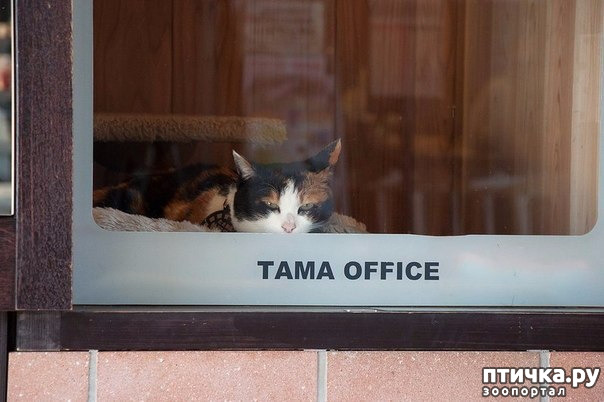 ���� 6: ����� ���� � �������������� ��������������� �������.