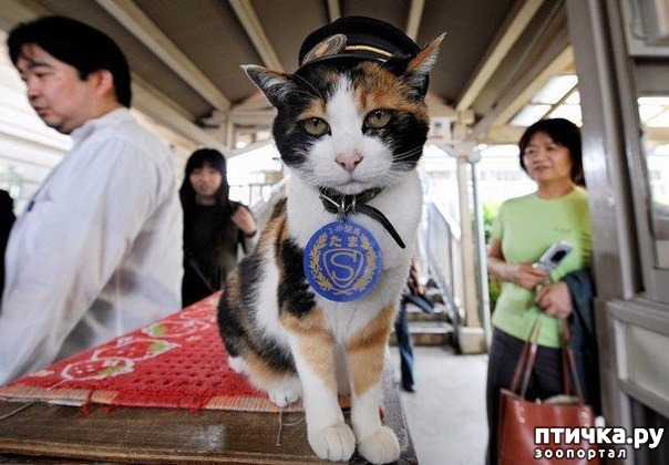 ���� 7: ����� ���� � �������������� ��������������� �������.