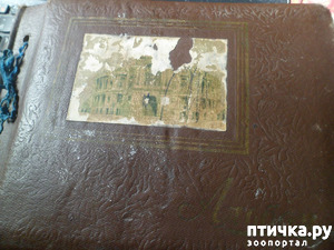 ����: �� ��������� ������� �������...