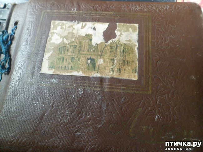 ���� 1: �� ��������� ������� �������...