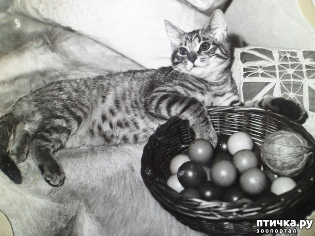 ���� 3: �� ��������� ������� �������...