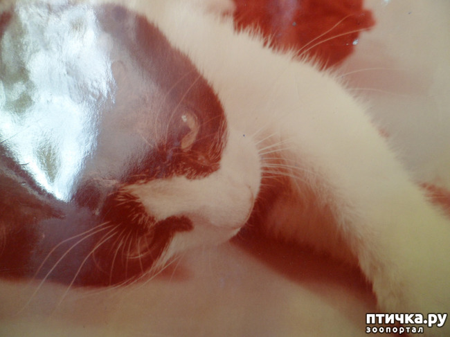 ���� 4: �� ��������� ������� �������...