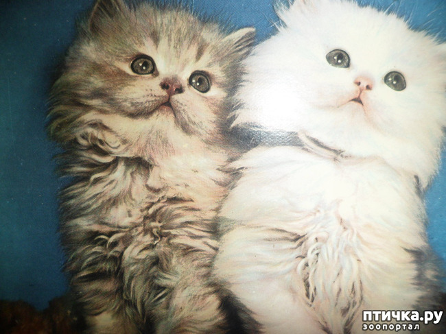 ���� 5: �� ��������� ������� �������...