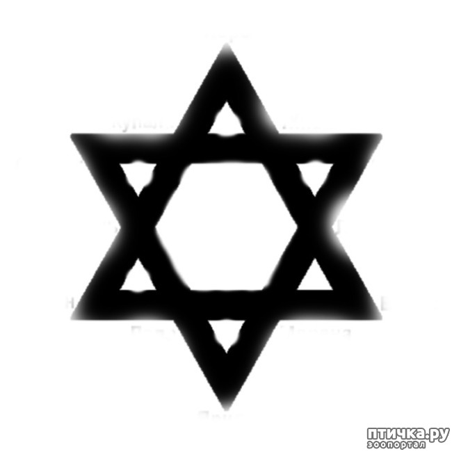 ���� 3: �����