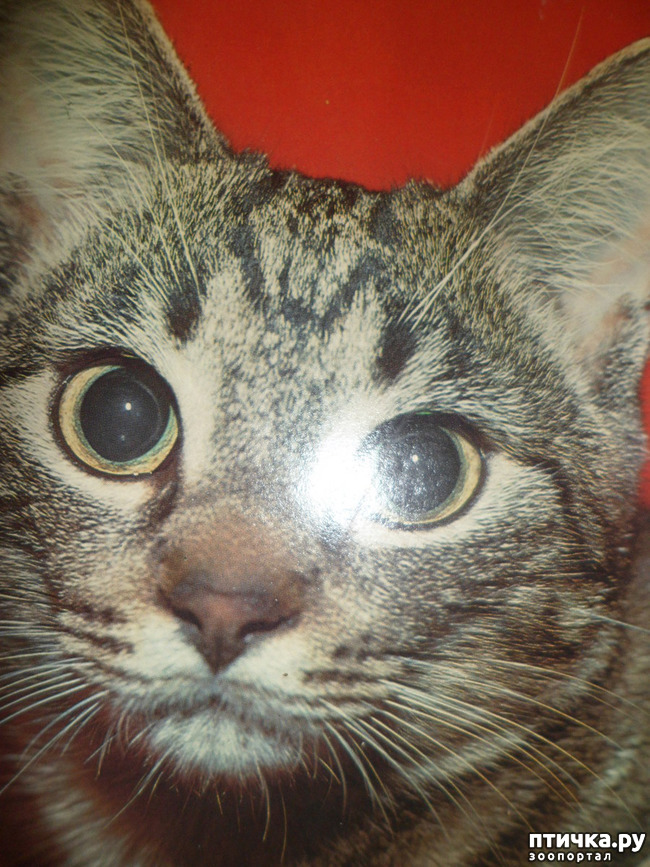 ���� 6: �� ��������� ������� �������...