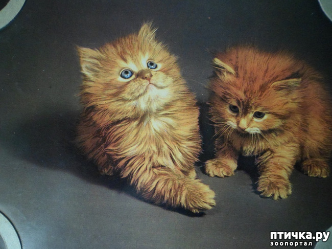 ���� 7: �� ��������� ������� �������...