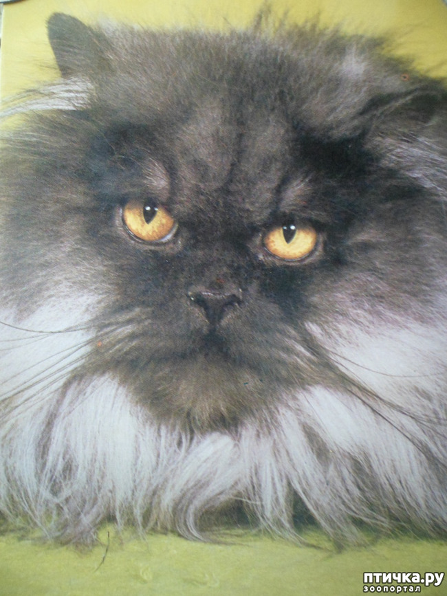 ���� 8: �� ��������� ������� �������...