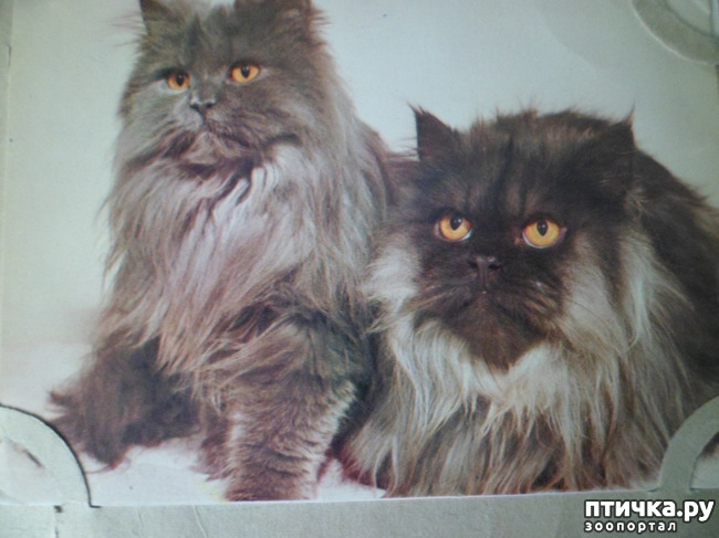 ���� 9: �� ��������� ������� �������...