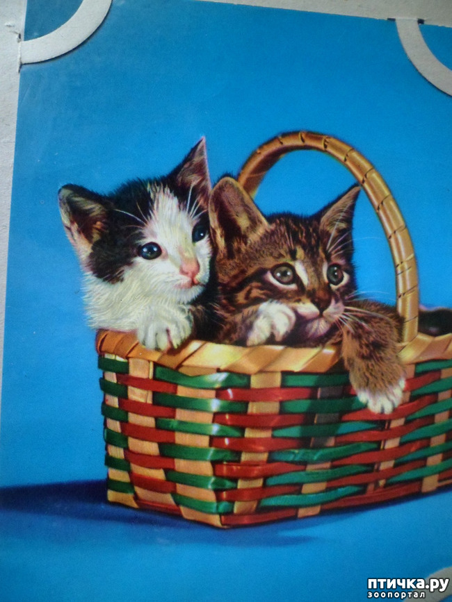 ���� 10: �� ��������� ������� �������...