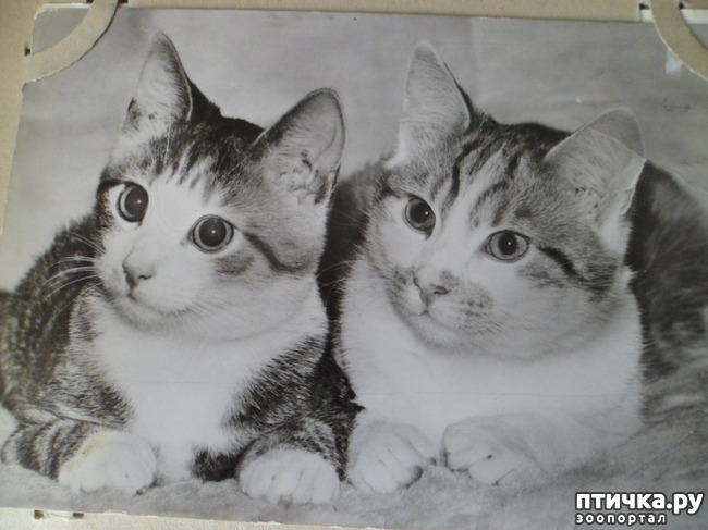 ���� 12: �� ��������� ������� �������...