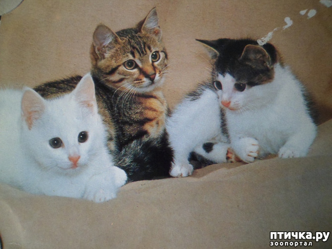 ���� 13: �� ��������� ������� �������...