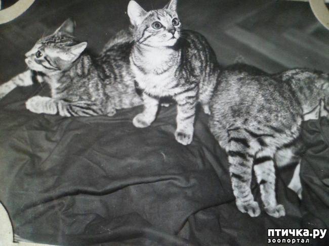 ���� 14: �� ��������� ������� �������...