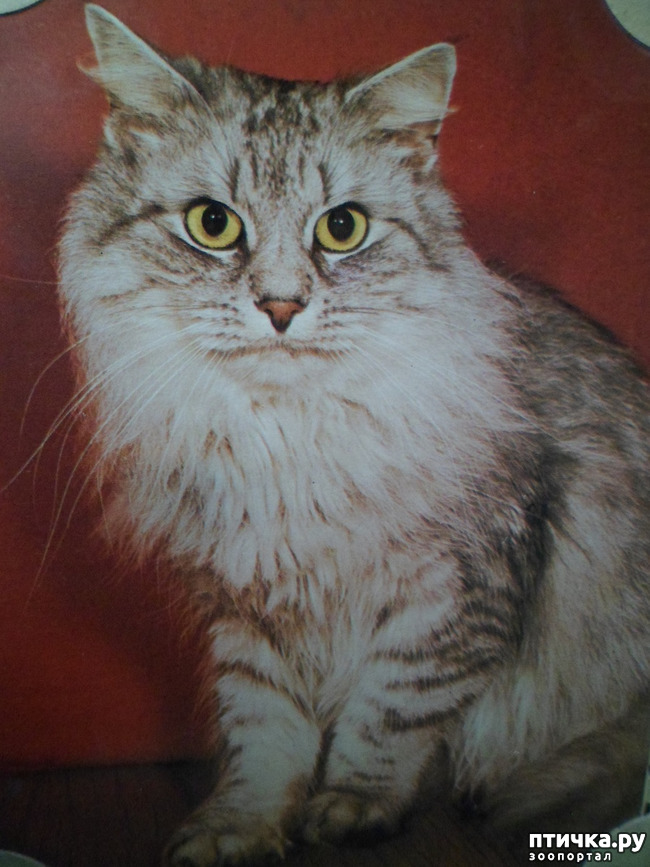 ���� 15: �� ��������� ������� �������...