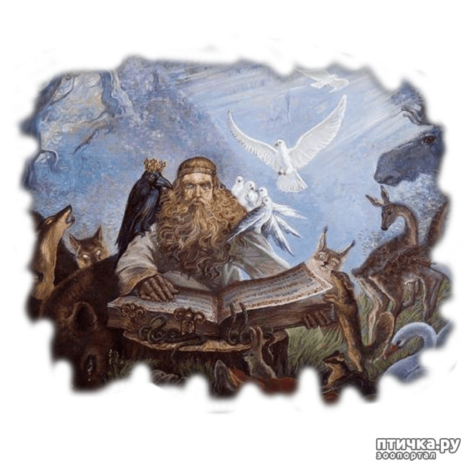 ���� 4: �����