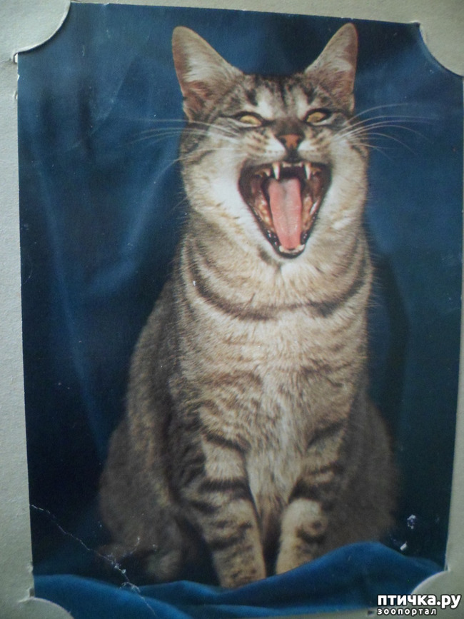 ���� 16: �� ��������� ������� �������...