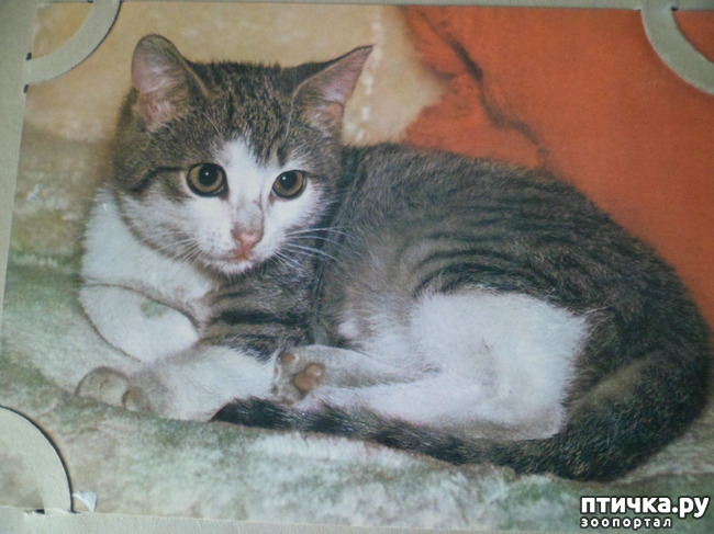 ���� 17: �� ��������� ������� �������...