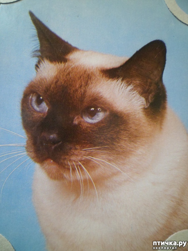 ���� 18: �� ��������� ������� �������...