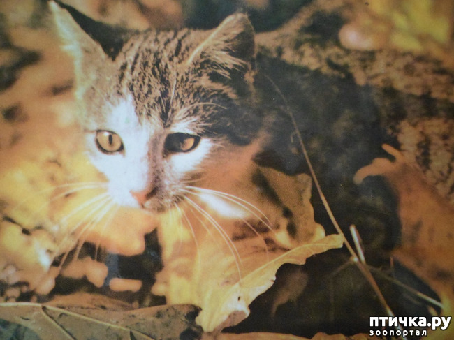 ���� 19: �� ��������� ������� �������...