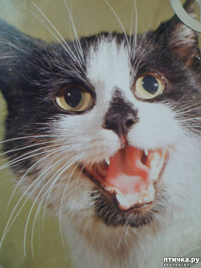 ���� 20: �� ��������� ������� �������...