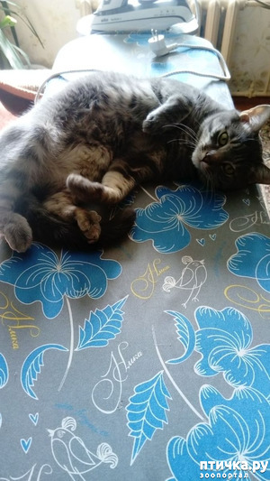 ����: ����� �