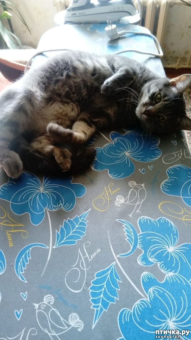 ���� 1: ����� �