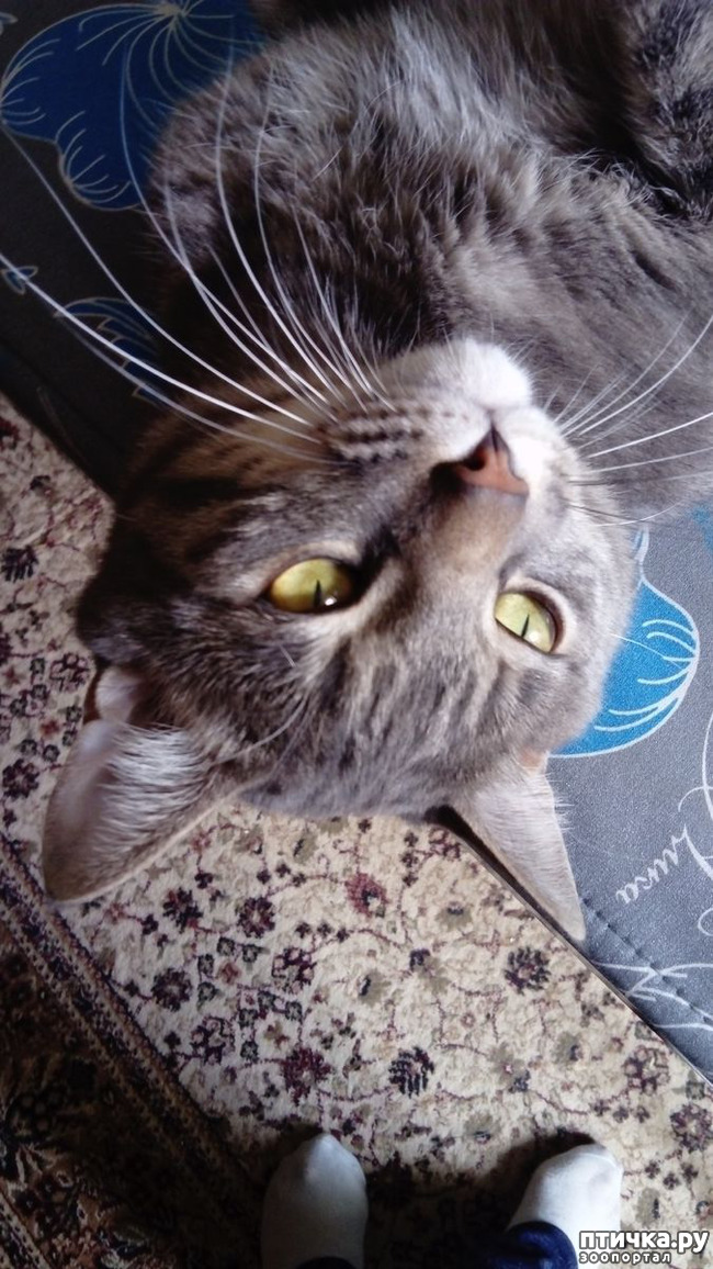 ���� 2: ����� �