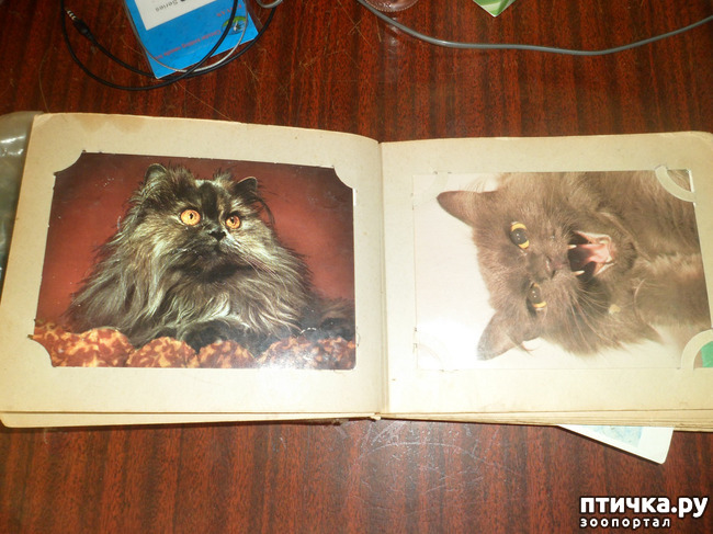 ���� 2: �� ��������� ������� �������...