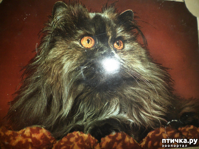 ���� 21: �� ��������� ������� �������...