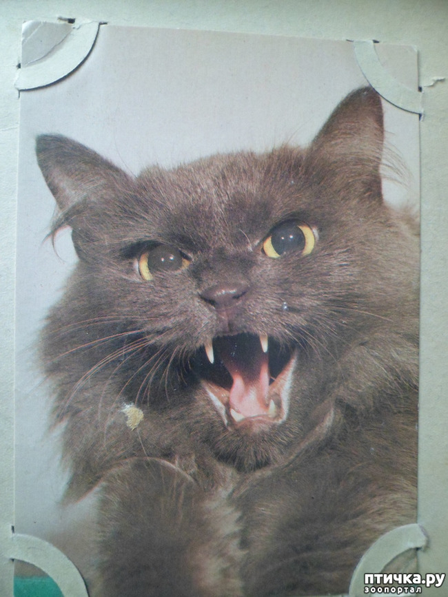 ���� 22: �� ��������� ������� �������...