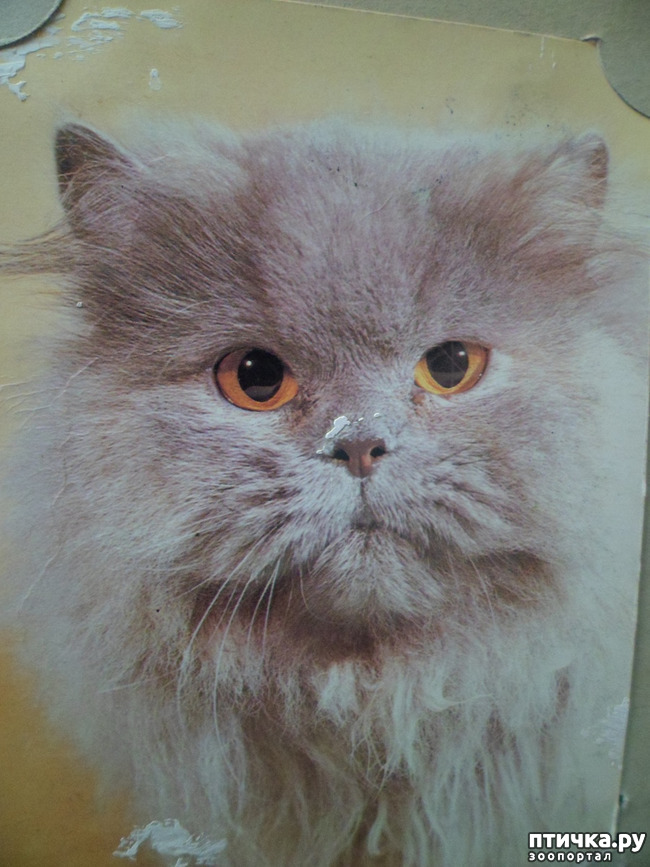 ���� 23: �� ��������� ������� �������...