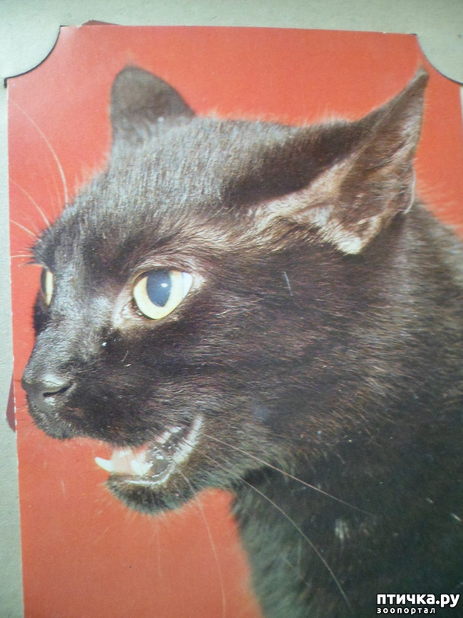 ���� 24: �� ��������� ������� �������...