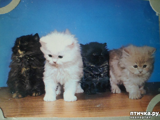 ���� 25: �� ��������� ������� �������...