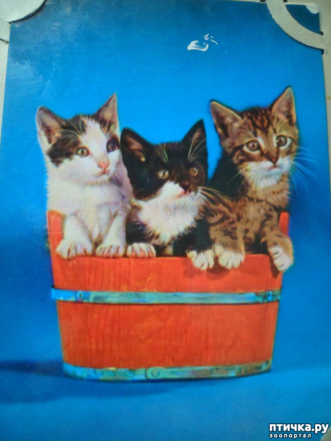 ���� 26: �� ��������� ������� �������...