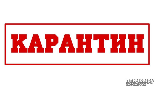 ���� 2: ������������